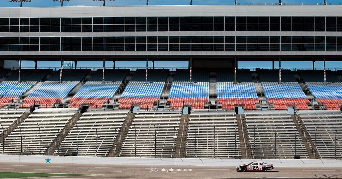 Bike Sport Defined - BicycleCost