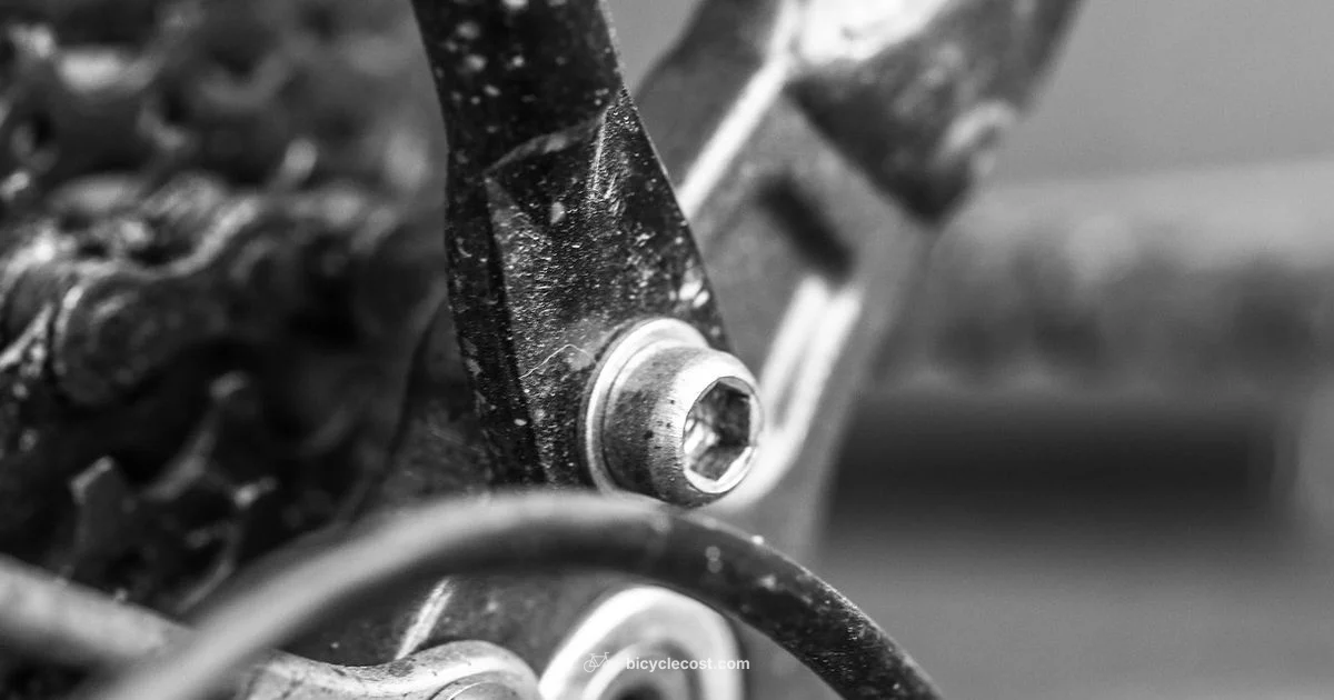 Bicycle Parts Diagram - BicycleCost