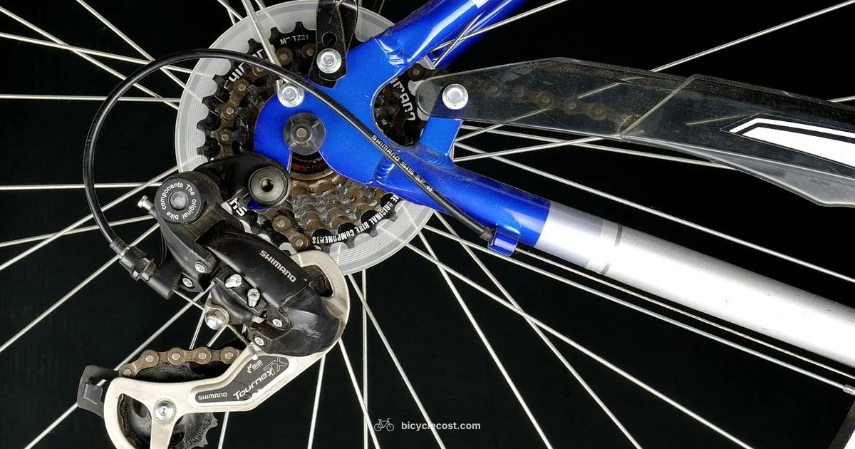 Bike Chain Lubrication Guide - BicycleCost