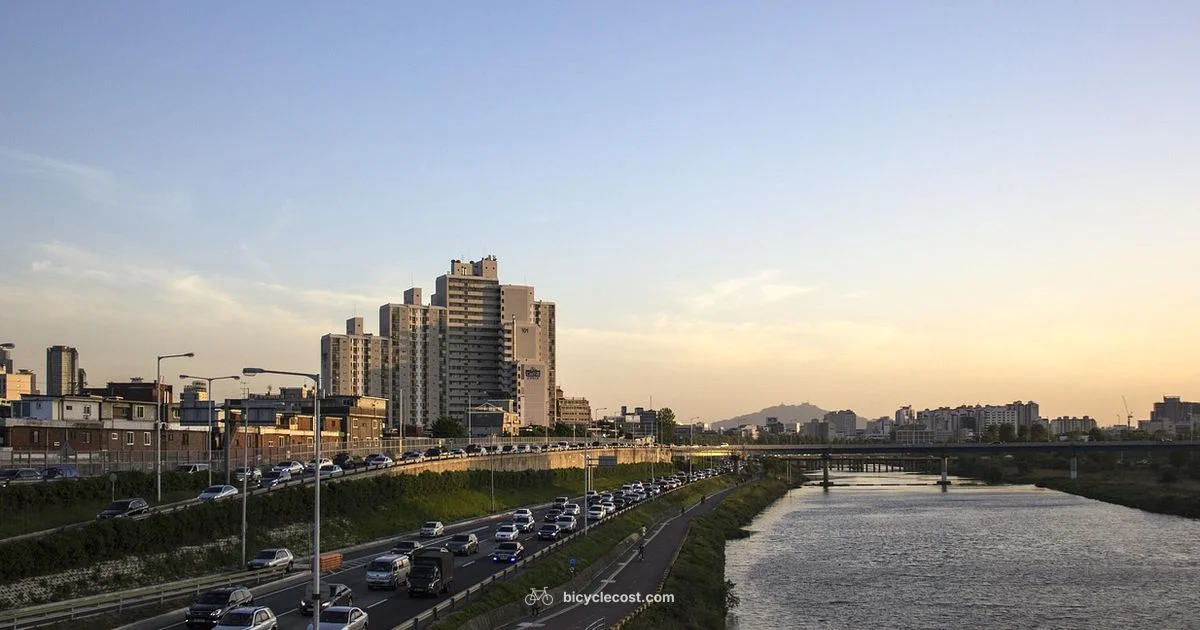 Who Is the Rider - BicycleCost