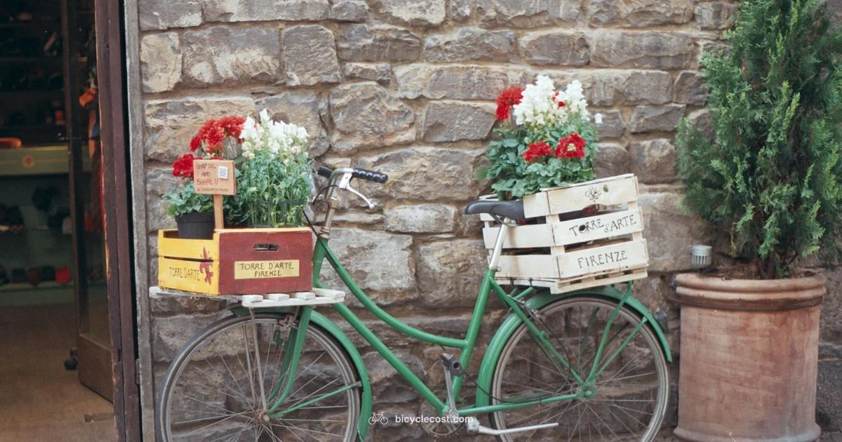 Italian Bicycle Terms - BicycleCost