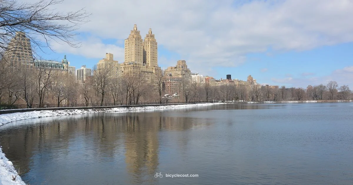 Central Park Tours Central Park Tours - BicycleCost