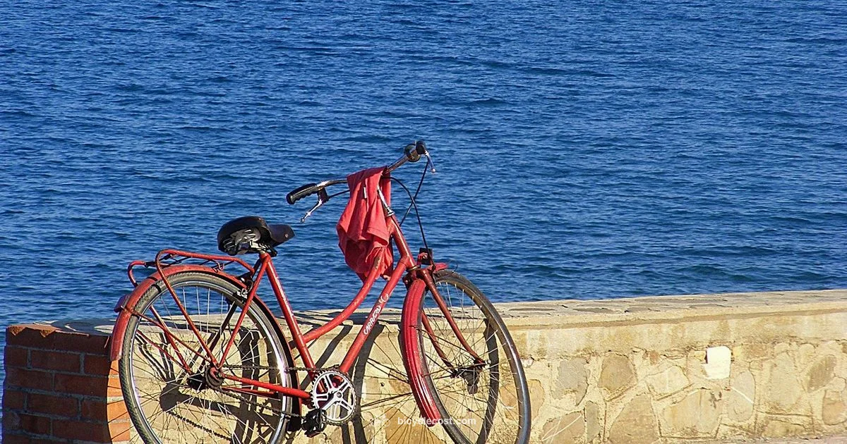 Smart Buying Guide Smart Buying Guide - BicycleCost