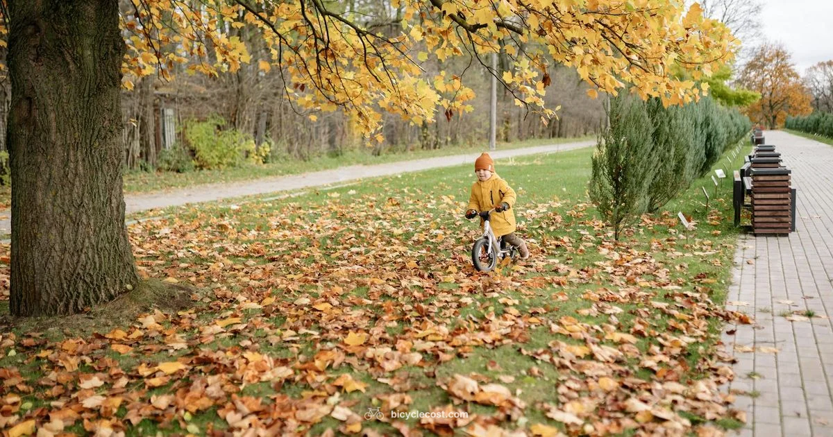 20 Inch Bike Guide - BicycleCost