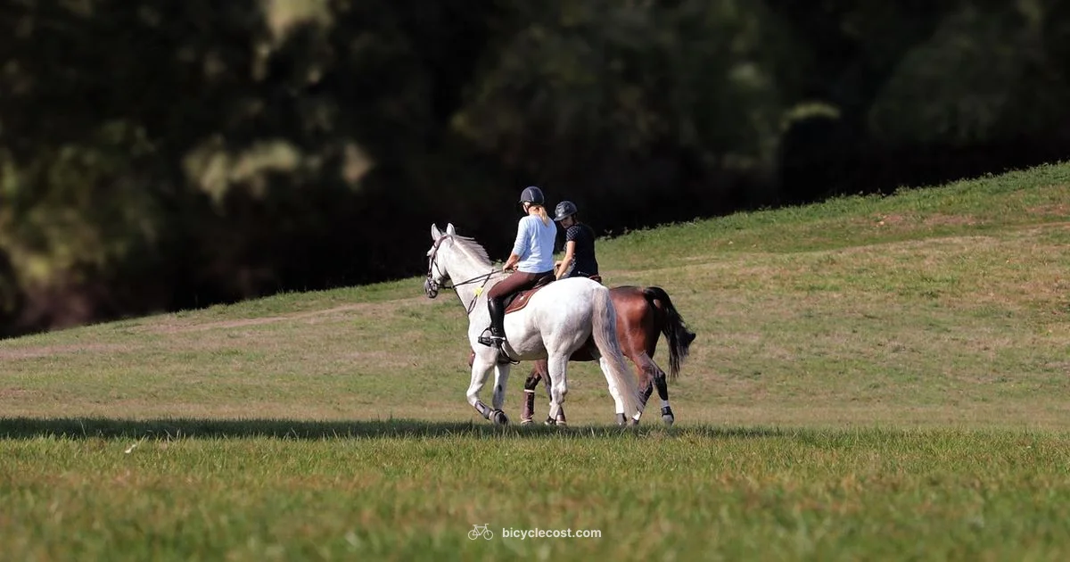 Senior Recumbent Guide - BicycleCost