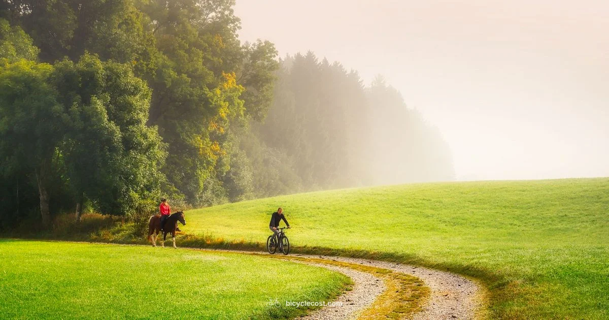 Italy by Bike Italy by Bike - BicycleCost