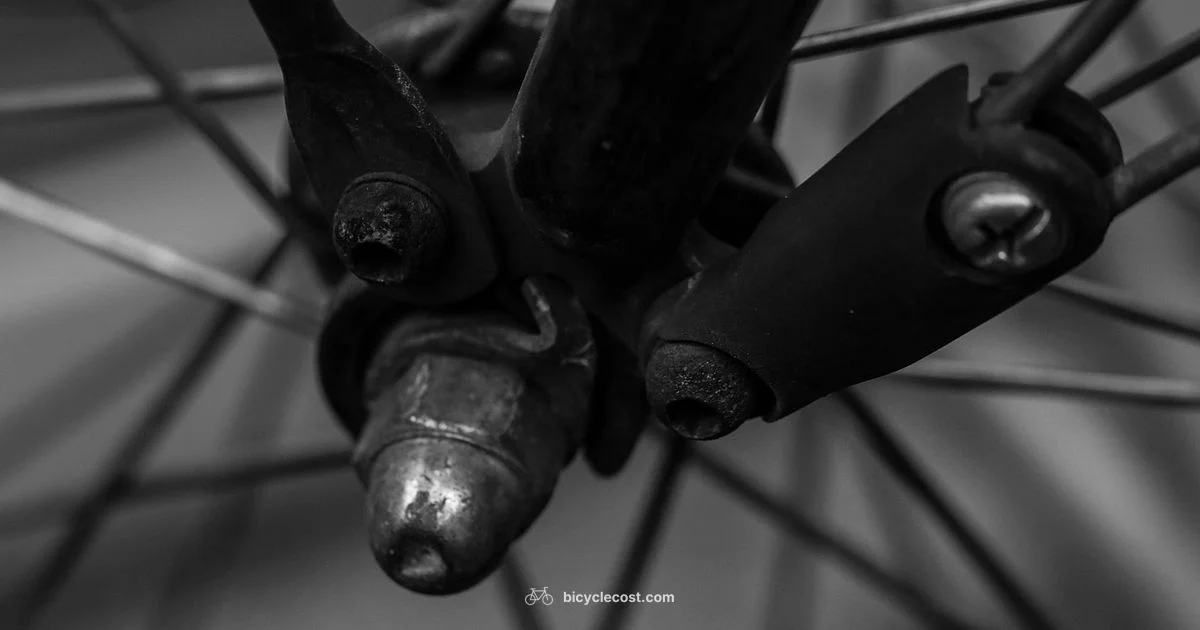 Cycle Frame Essentials - BicycleCost