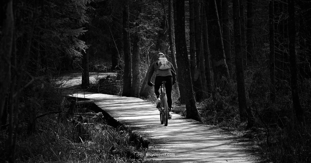 Good Bike Guide - BicycleCost