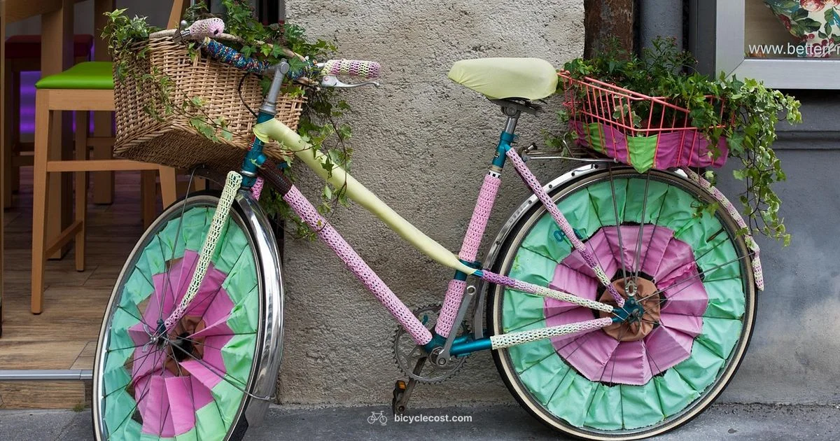 Budget Bicycles Guide - BicycleCost