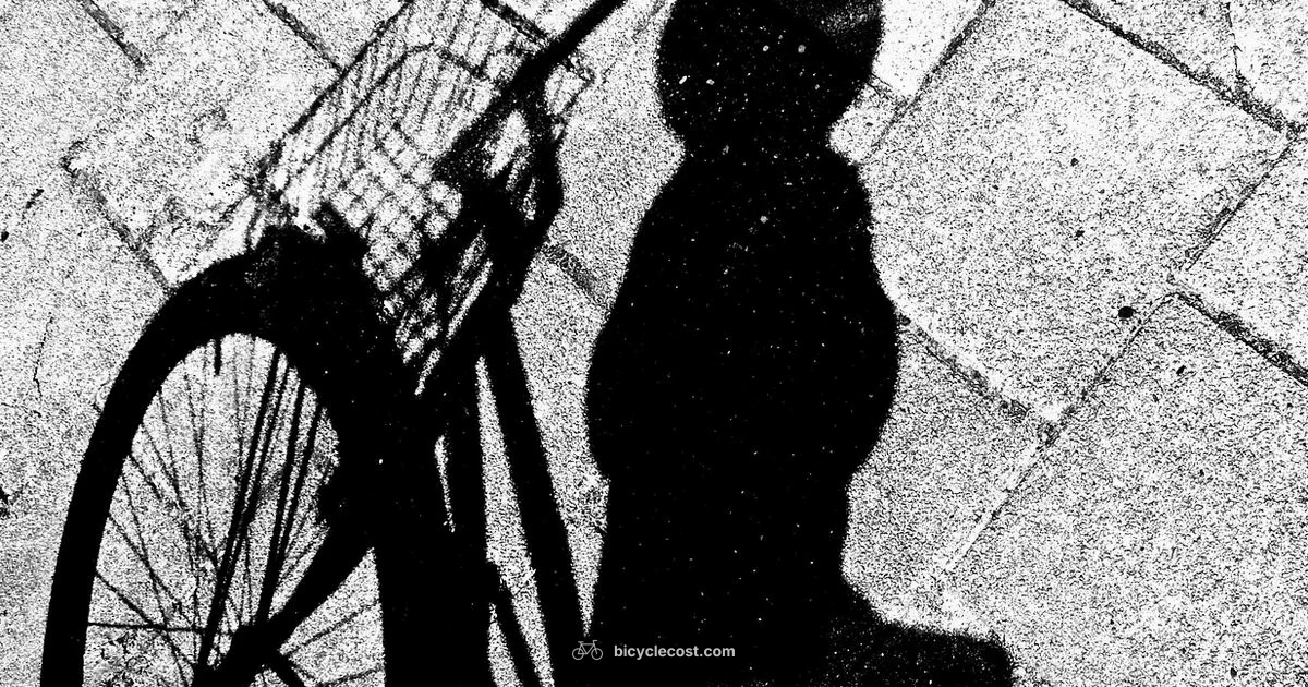 Home Bike Workout Home Bike Workout - BicycleCost