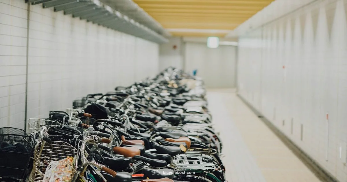 Bike Trainer Setup - BicycleCost