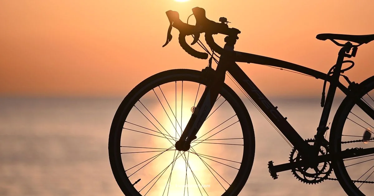 Secure Camping Bikes - BicycleCost