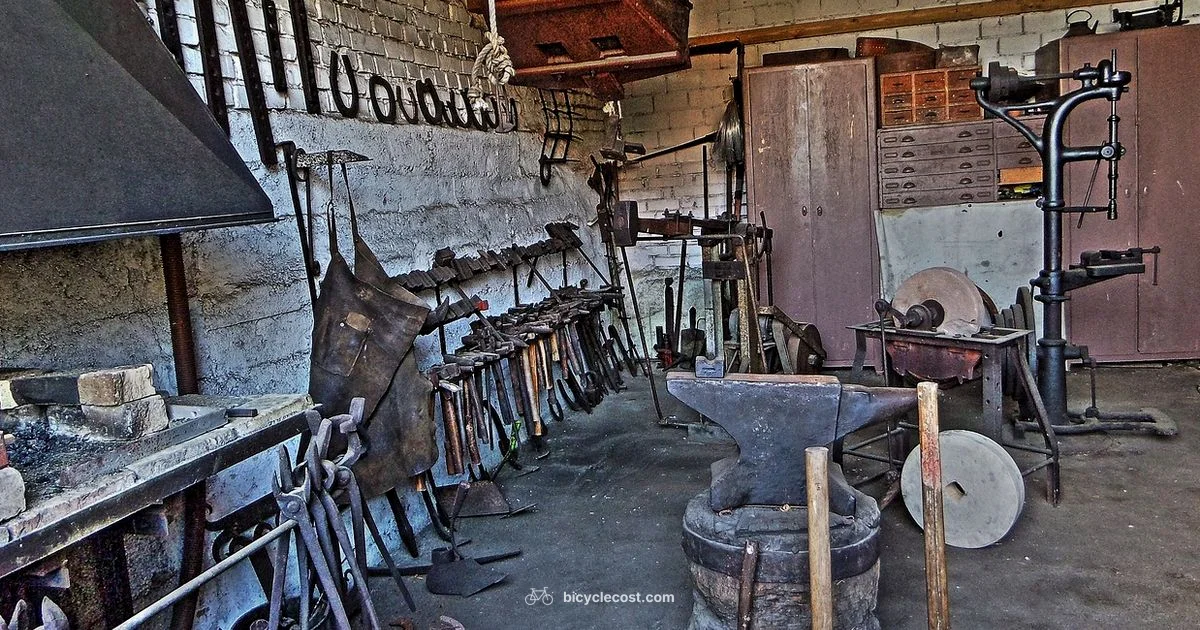 Historical Bicycle Inventions - BicycleCost