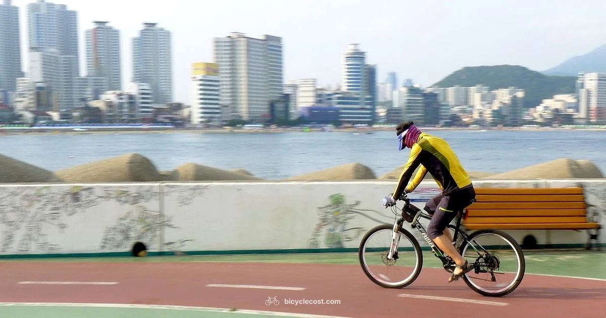 Cycling Benefits - BicycleCost