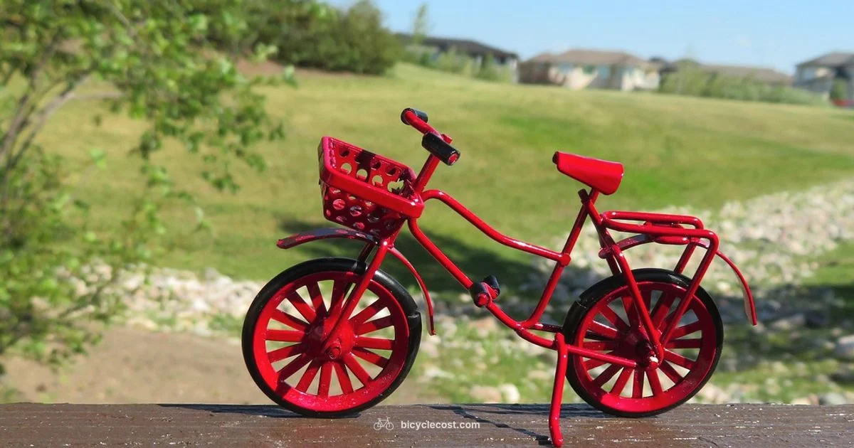 Bike Insurance Check - BicycleCost