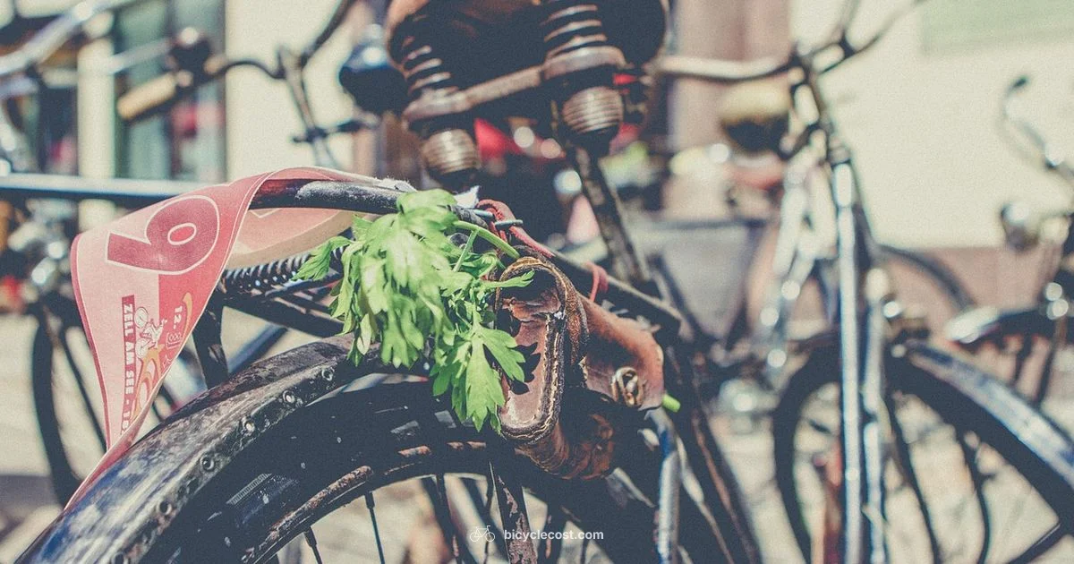 Tire Inflation Guide - BicycleCost