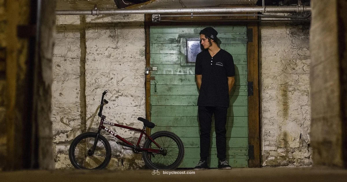 Sprocket Removal - BicycleCost