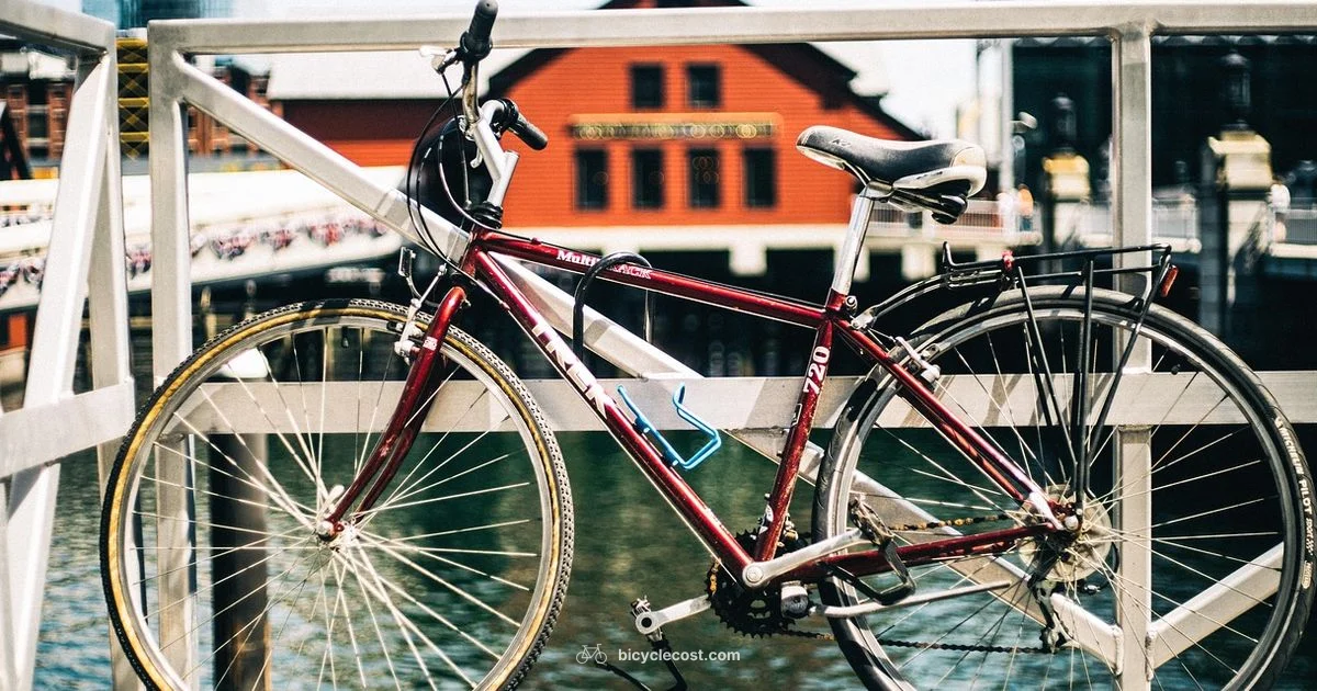 Bike Trailer Guide - BicycleCost