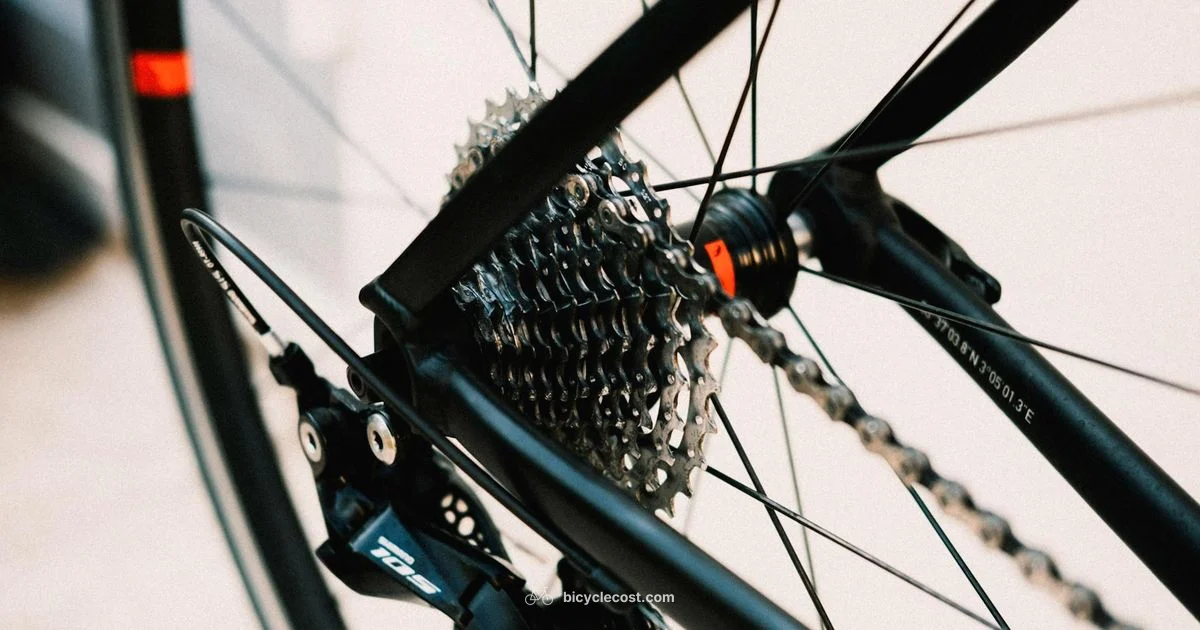 Chain Tension Check - BicycleCost