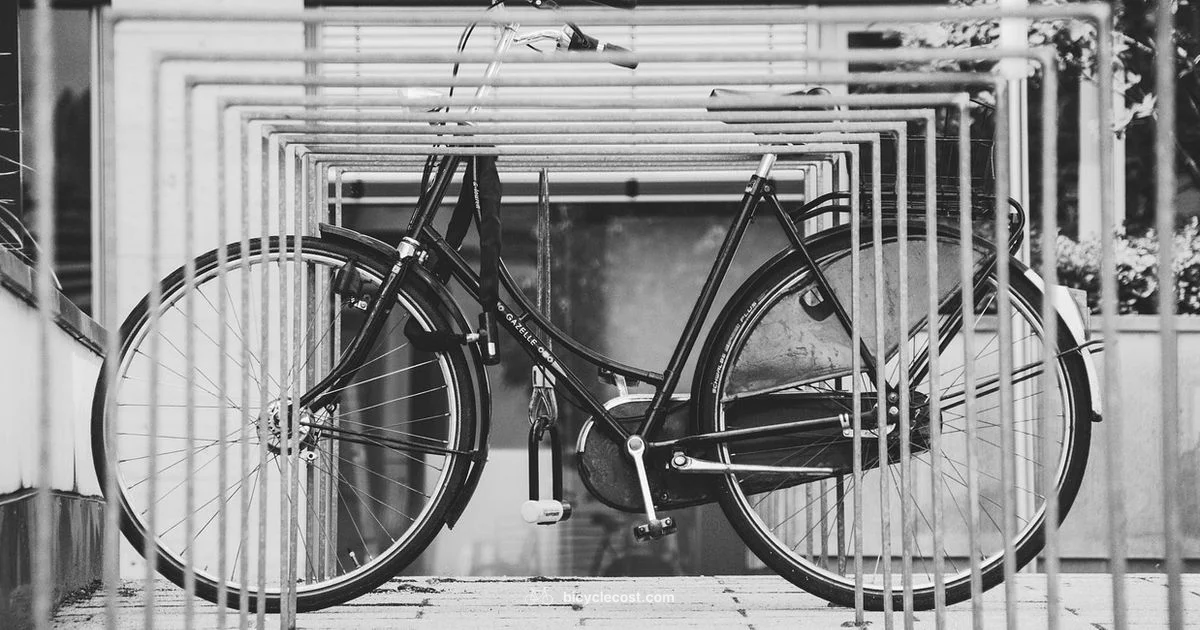 Garage Bike Storage - BicycleCost