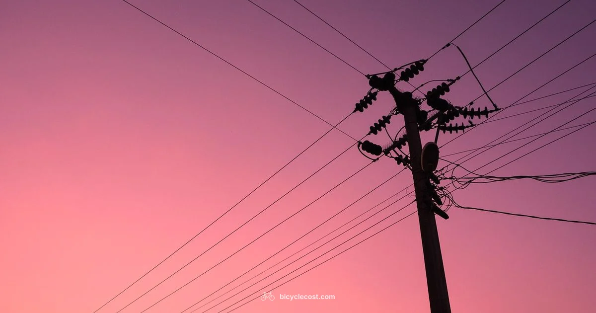 Electric Cycle Guide - BicycleCost