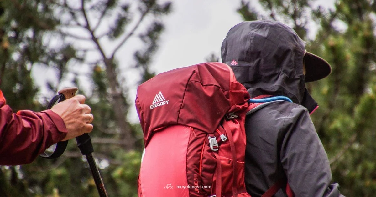 Trek 3700 Review - BicycleCost