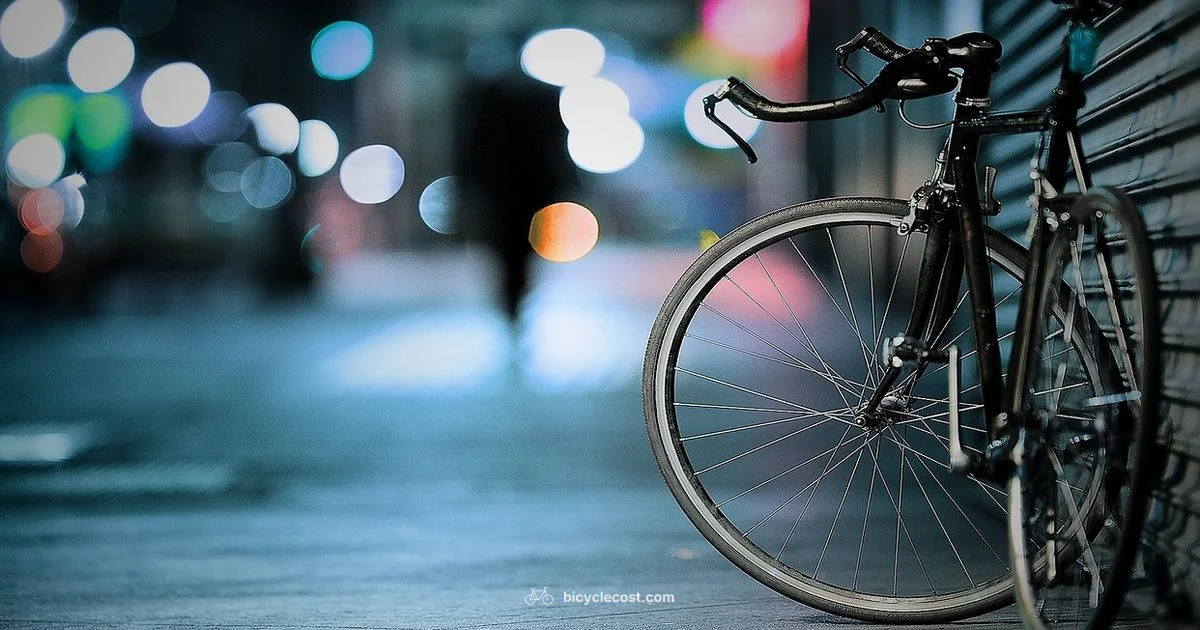 Bicycle Essentials - BicycleCost