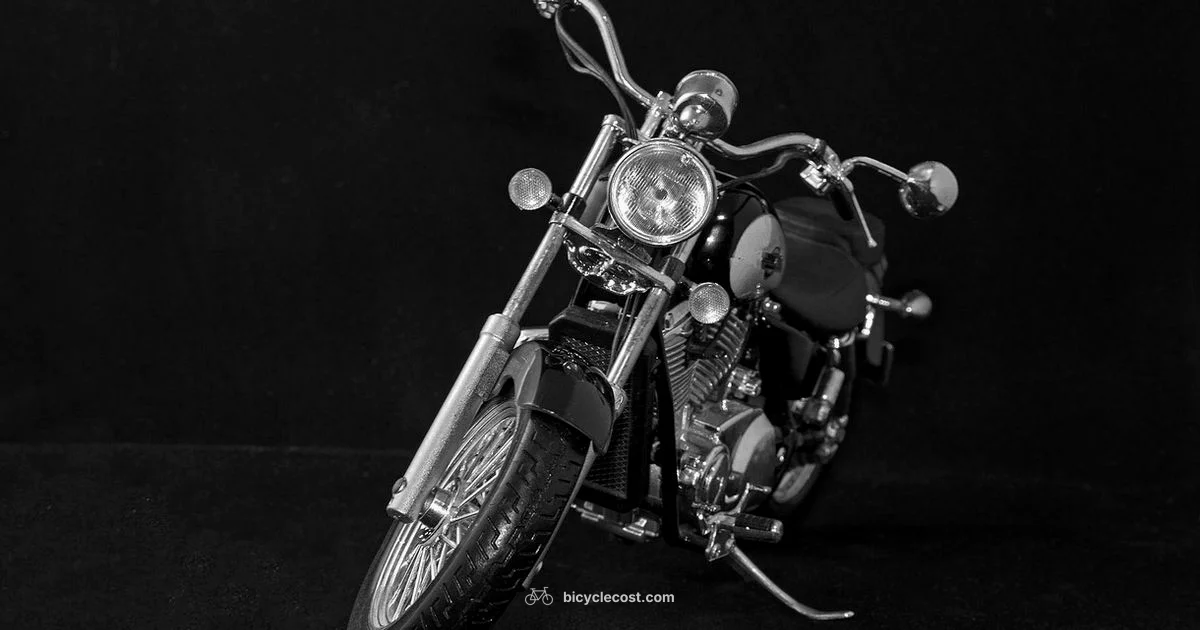 Chopper Guide - BicycleCost