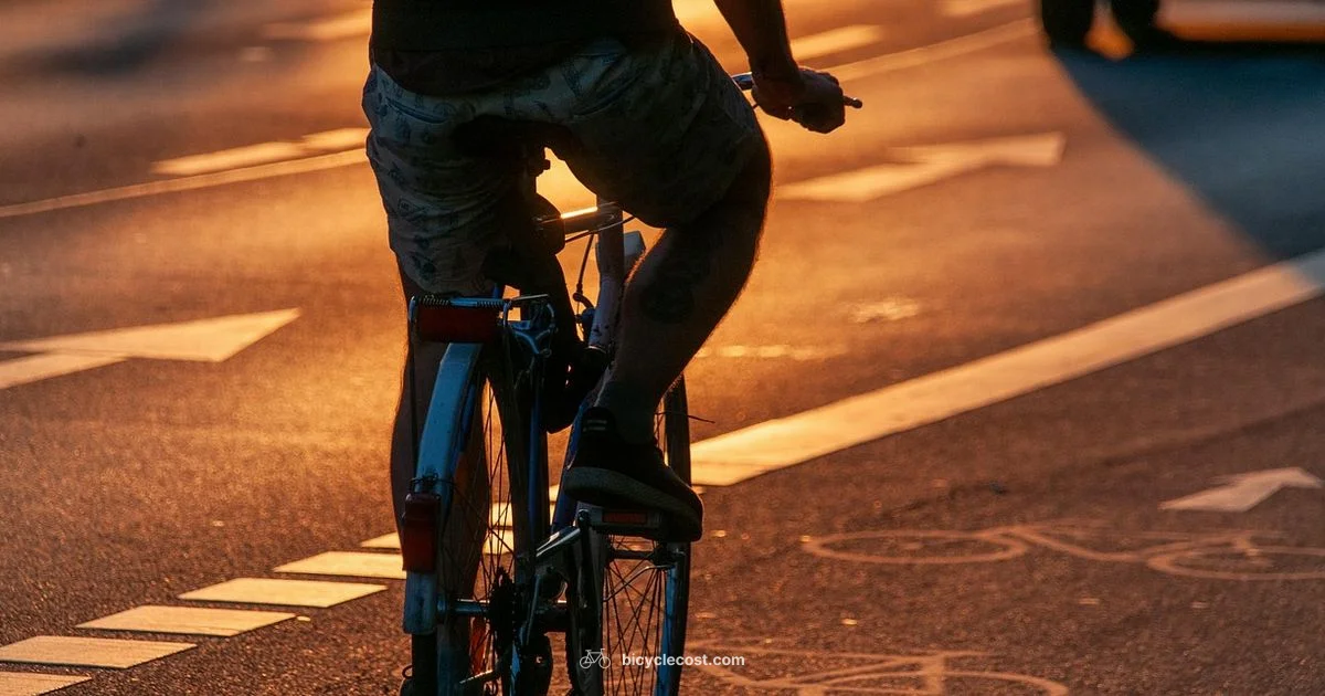 Bike Definition - BicycleCost