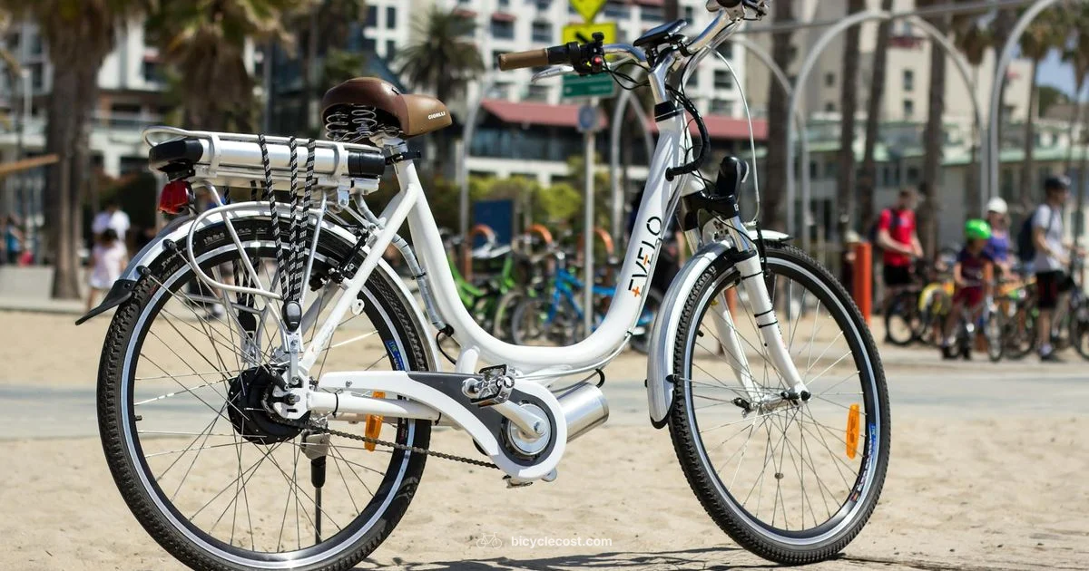 Budget E-Bike Guide - BicycleCost