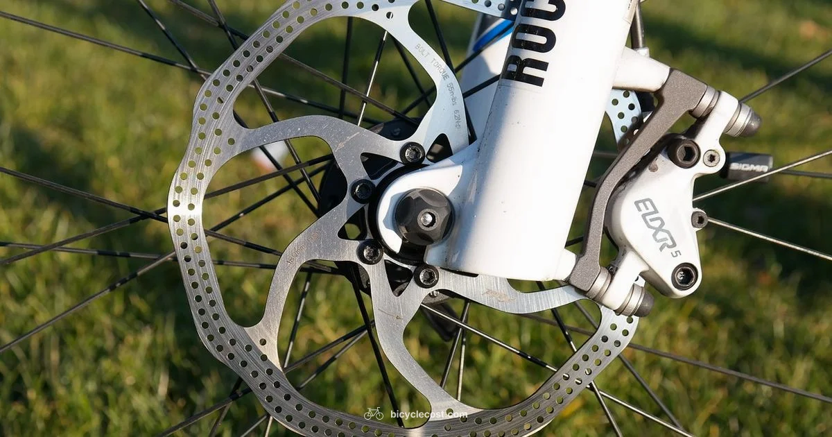 Fix Bicycle Disc Brakes - BicycleCost
