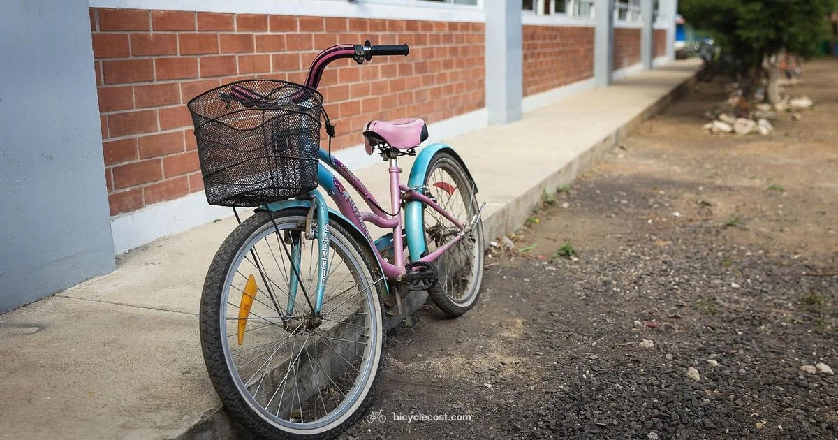 Cycling Made Simple - BicycleCost