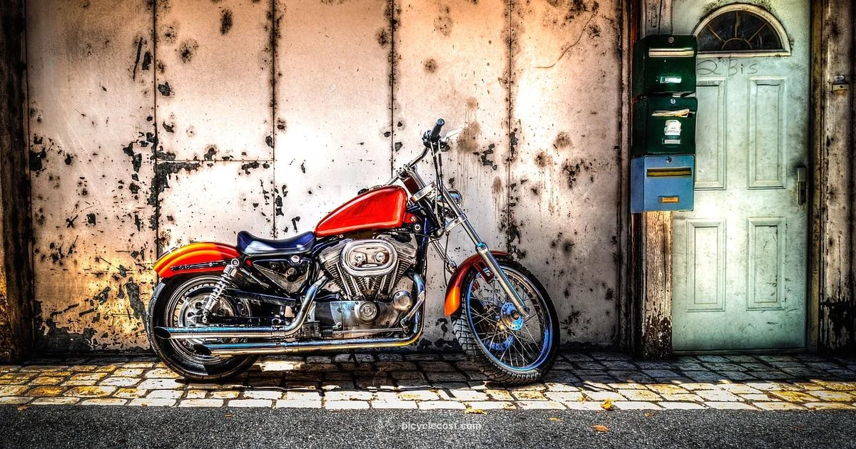 Comfortable Cruising - BicycleCost