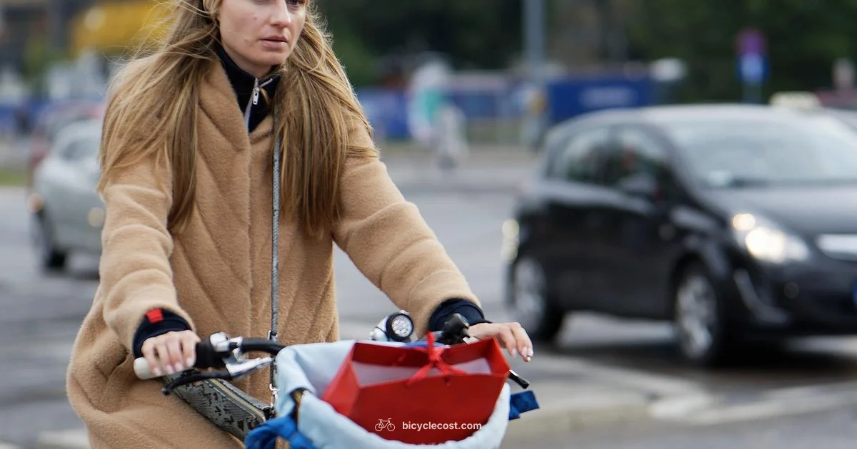 Insurance Non Renewed - BicycleCost