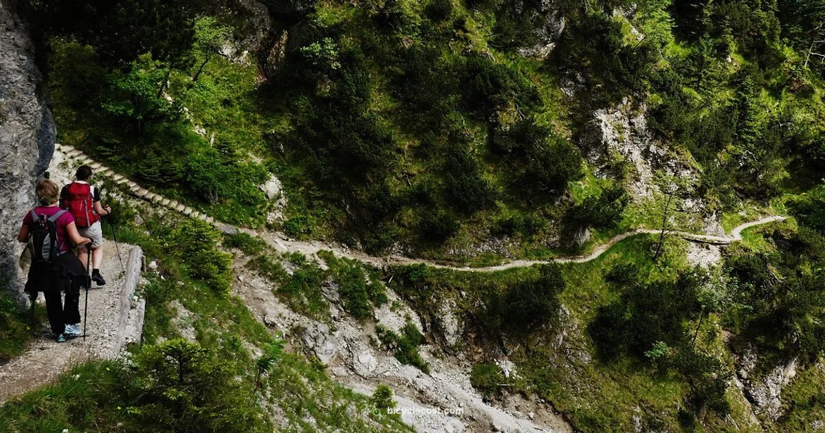 Specialized Electric MTB Guide - BicycleCost