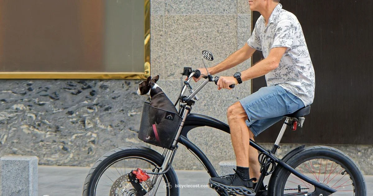 Weight loss on a bike - BicycleCost