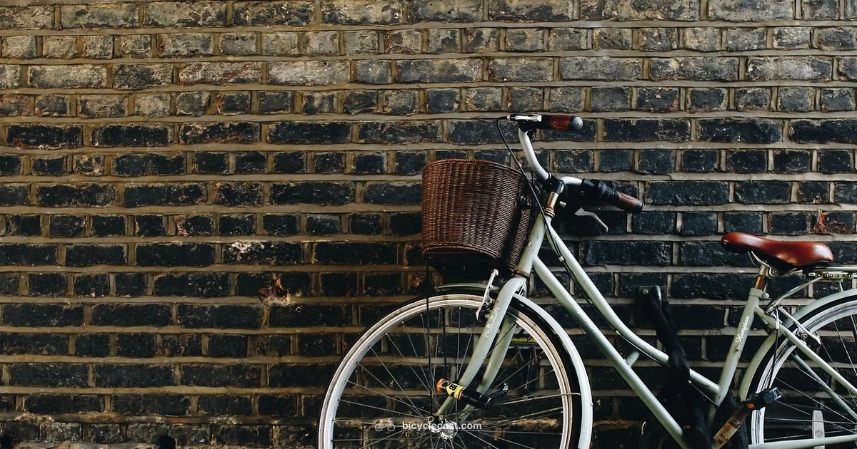 Local Cycle World - BicycleCost