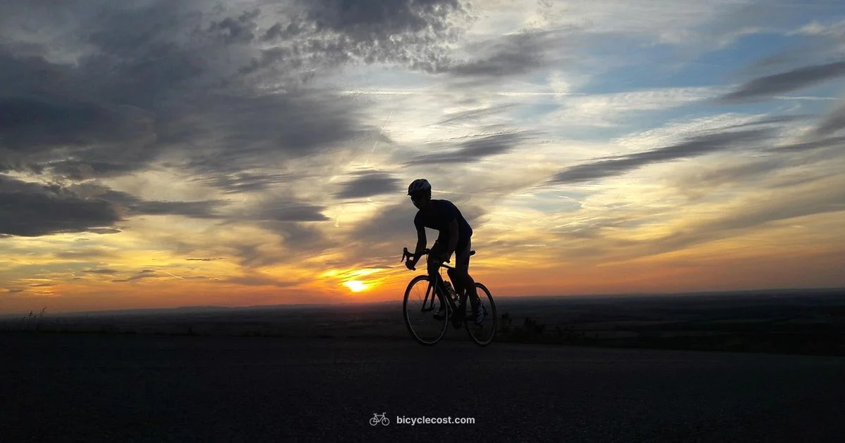 Best Bikes 2026 - BicycleCost