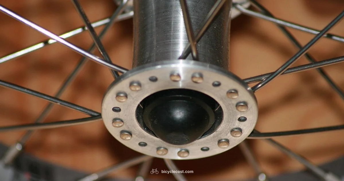 Spoke Cleaning Guide - BicycleCost