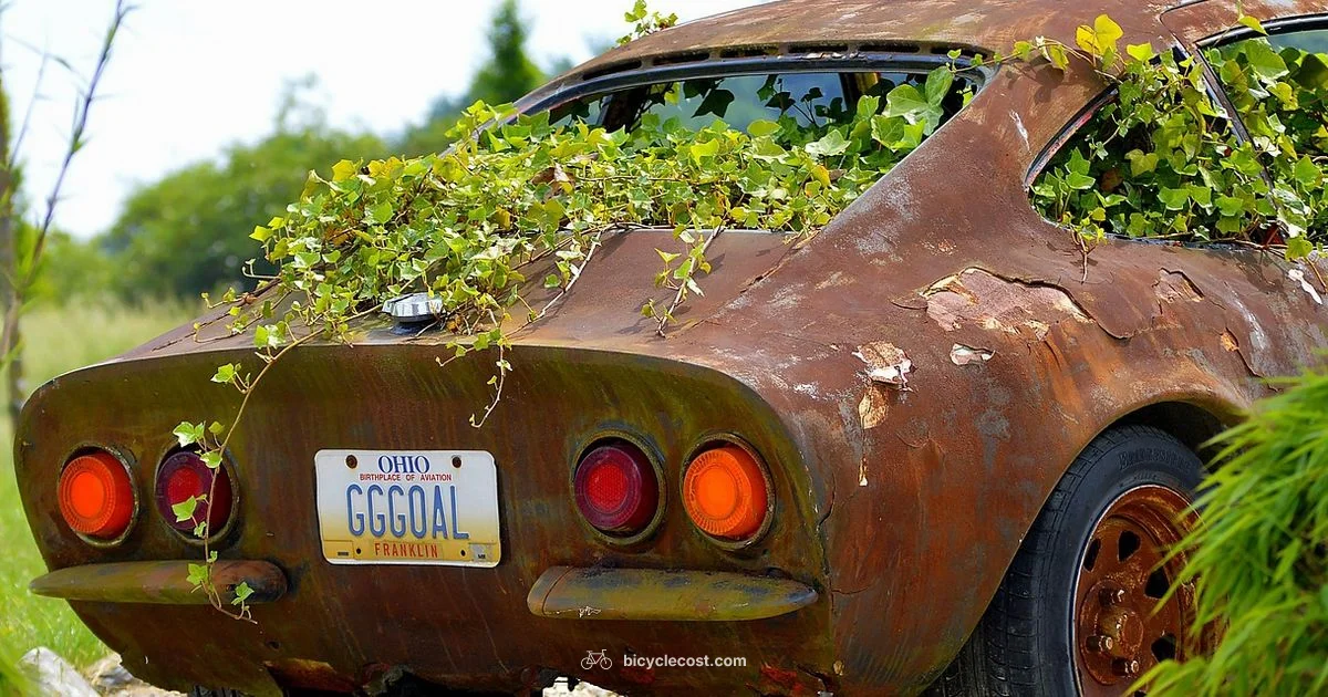 Rust-Proof Your Bike - BicycleCost