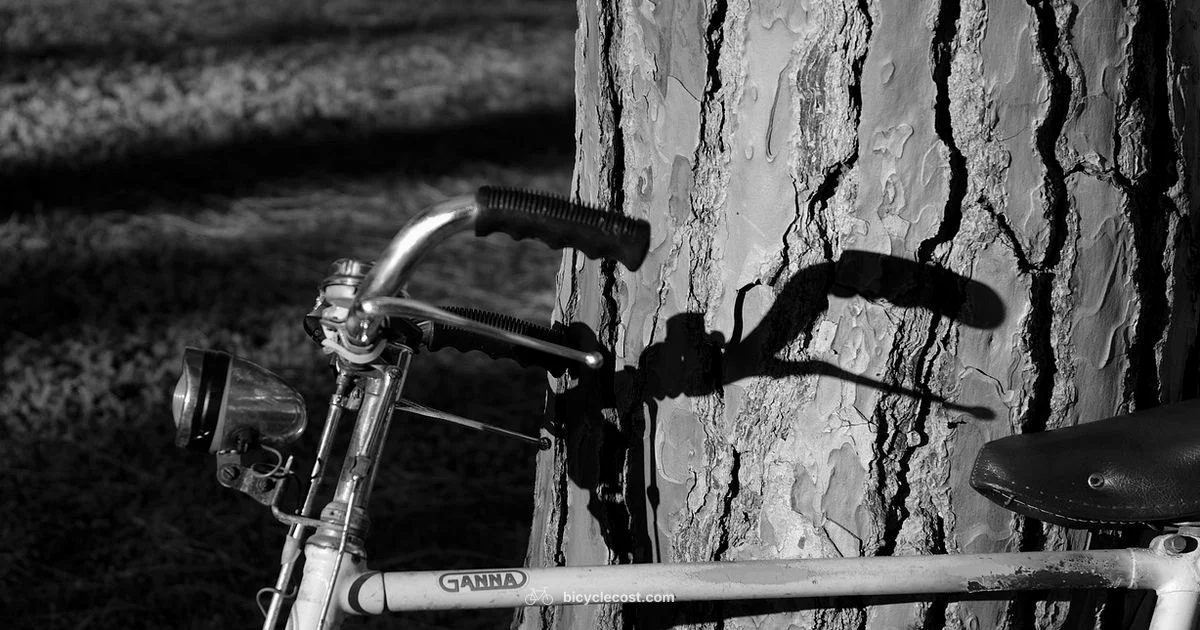 Handlebar Guide - BicycleCost