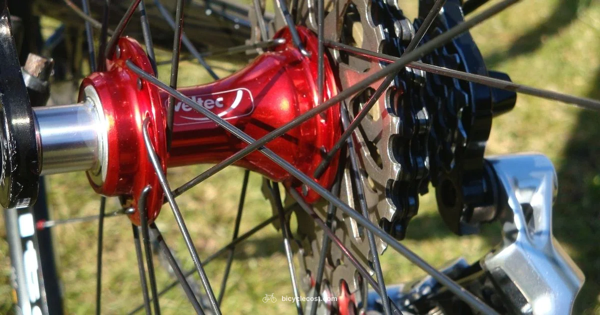 Rear Wheel Removal - BicycleCost