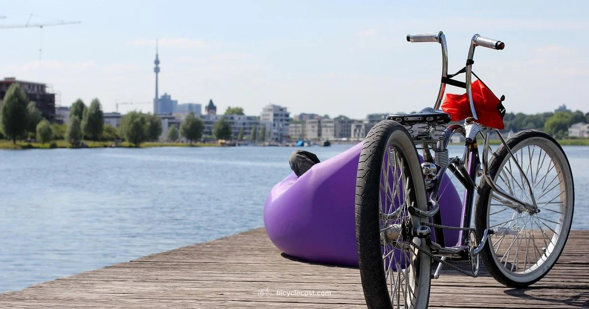 Women Cruiser Guide - BicycleCost