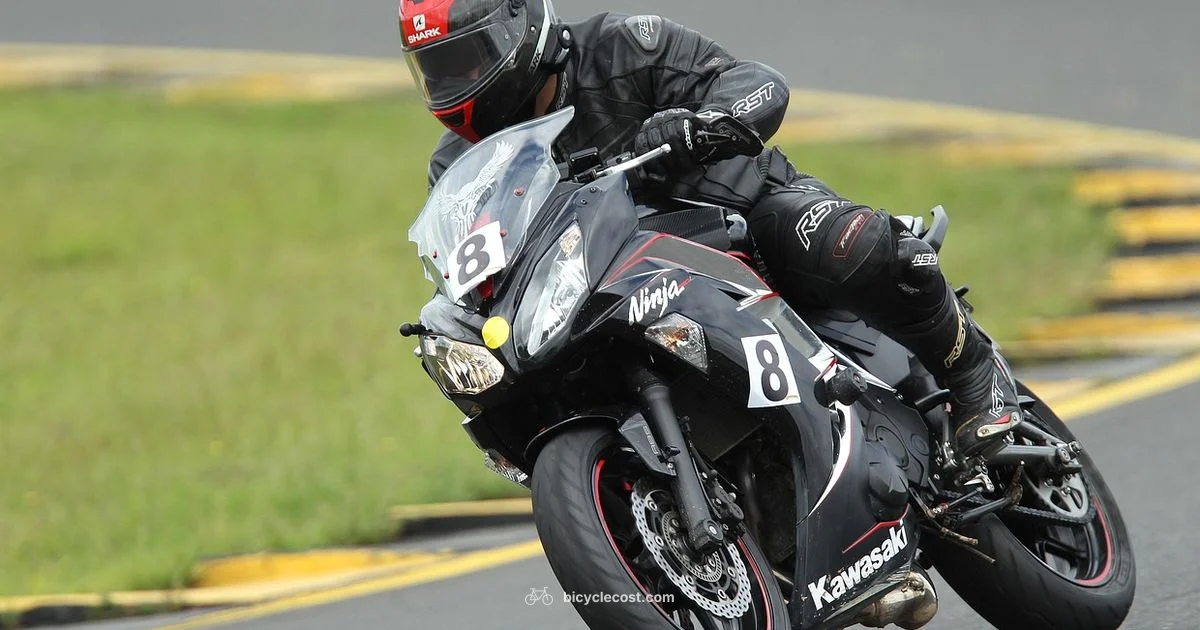 MTB Gear Essentials - BicycleCost