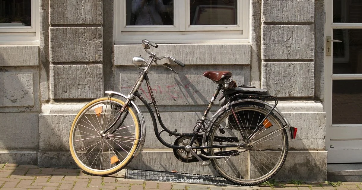 Road Tire Guide - BicycleCost