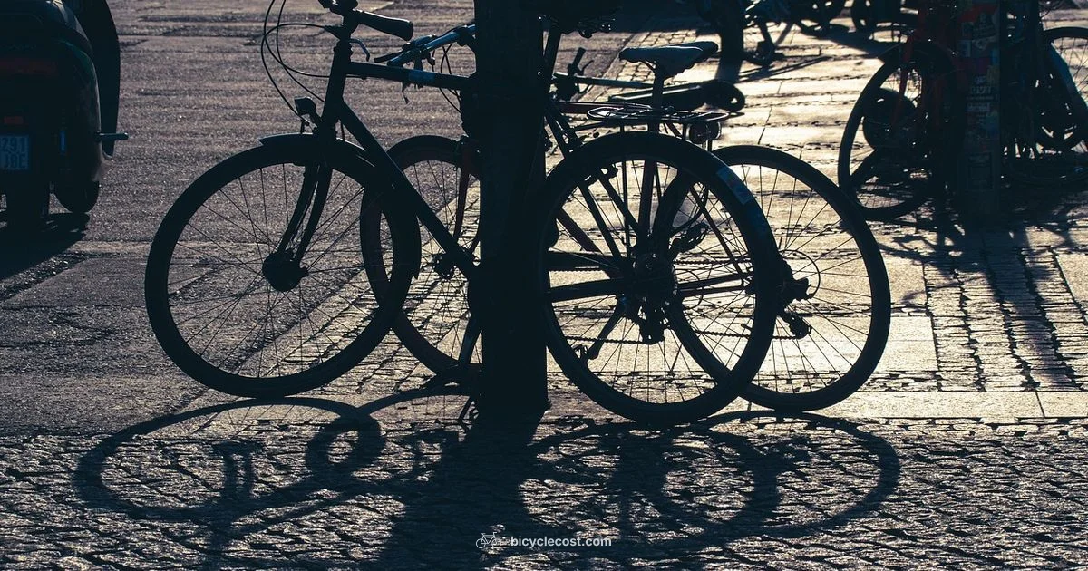 Is Bicycle Better? - BicycleCost