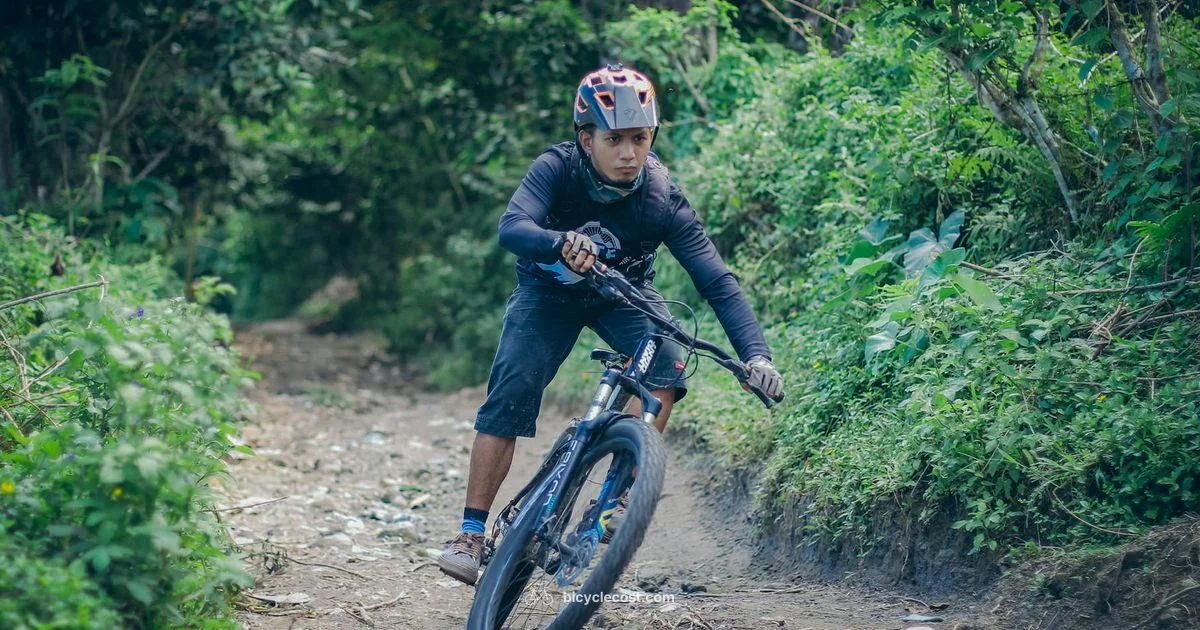 Giant stance 2 Guide - BicycleCost