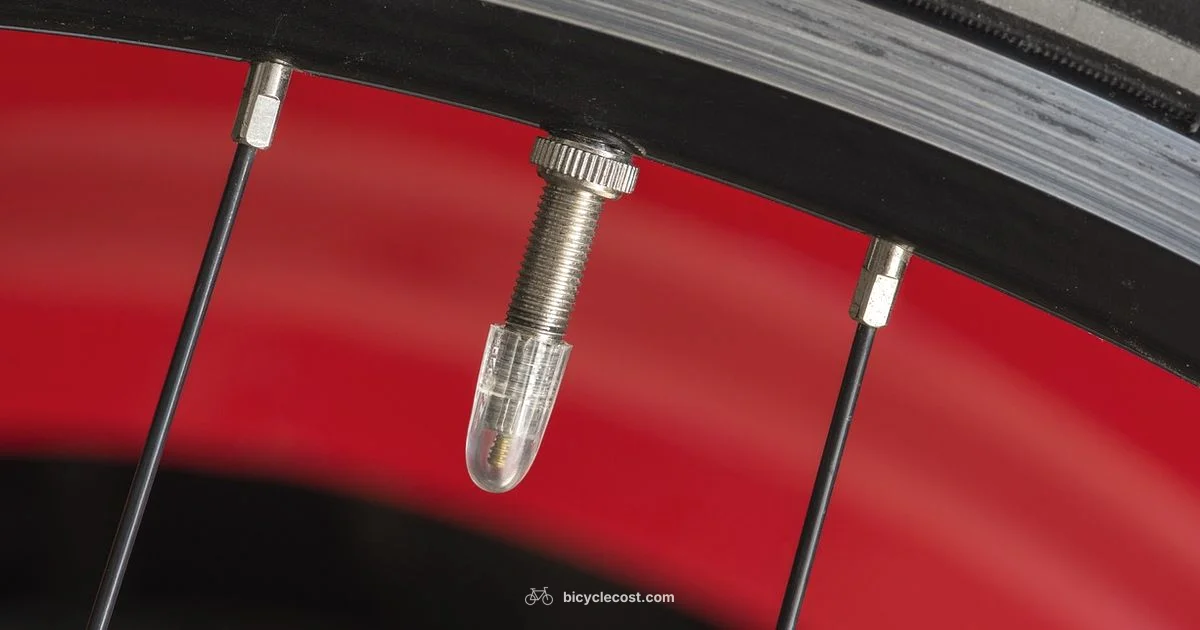 Spoke Care Guide - BicycleCost