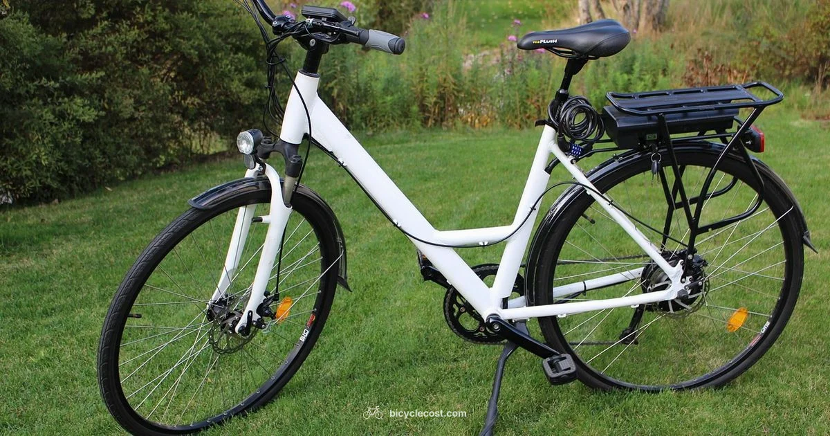 Best E-Bikes in India - BicycleCost