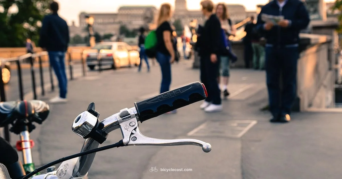 Joy Ride Guide Joy Ride Guide - BicycleCost